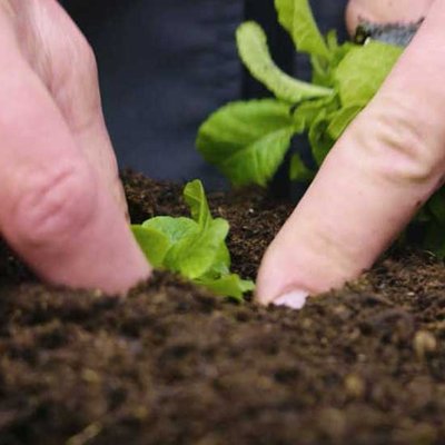Blumenerden und Kultursubstraten