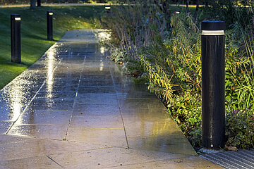 Image-12833