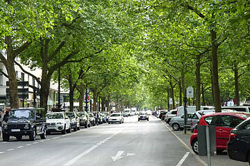 Parkanlage