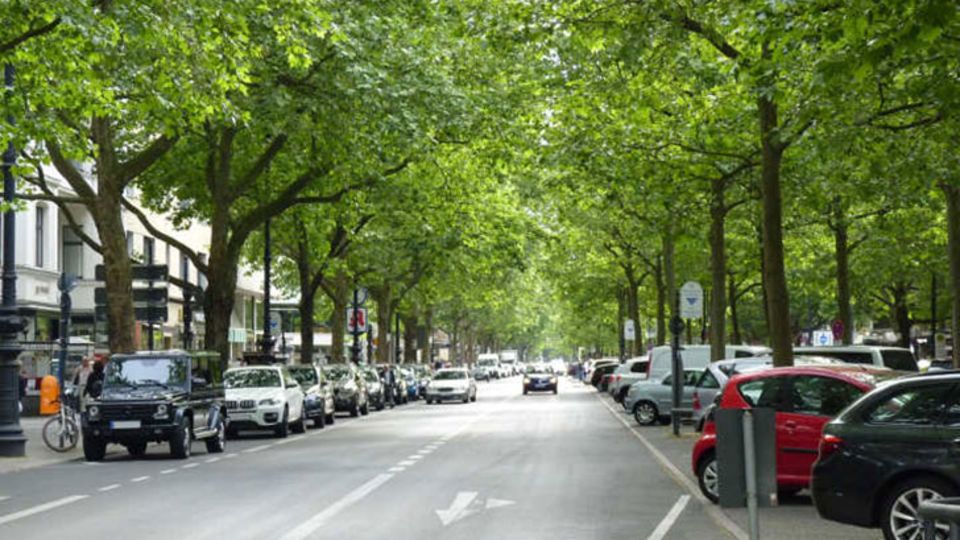 Parkanlage