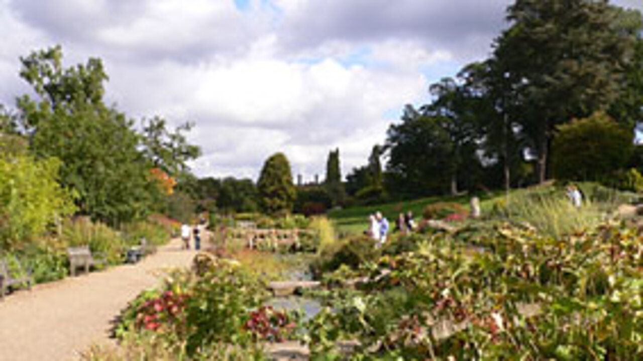 RHS-Garten Wisley