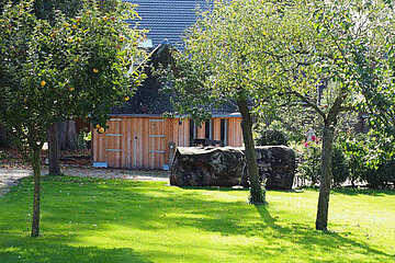 Image-11780