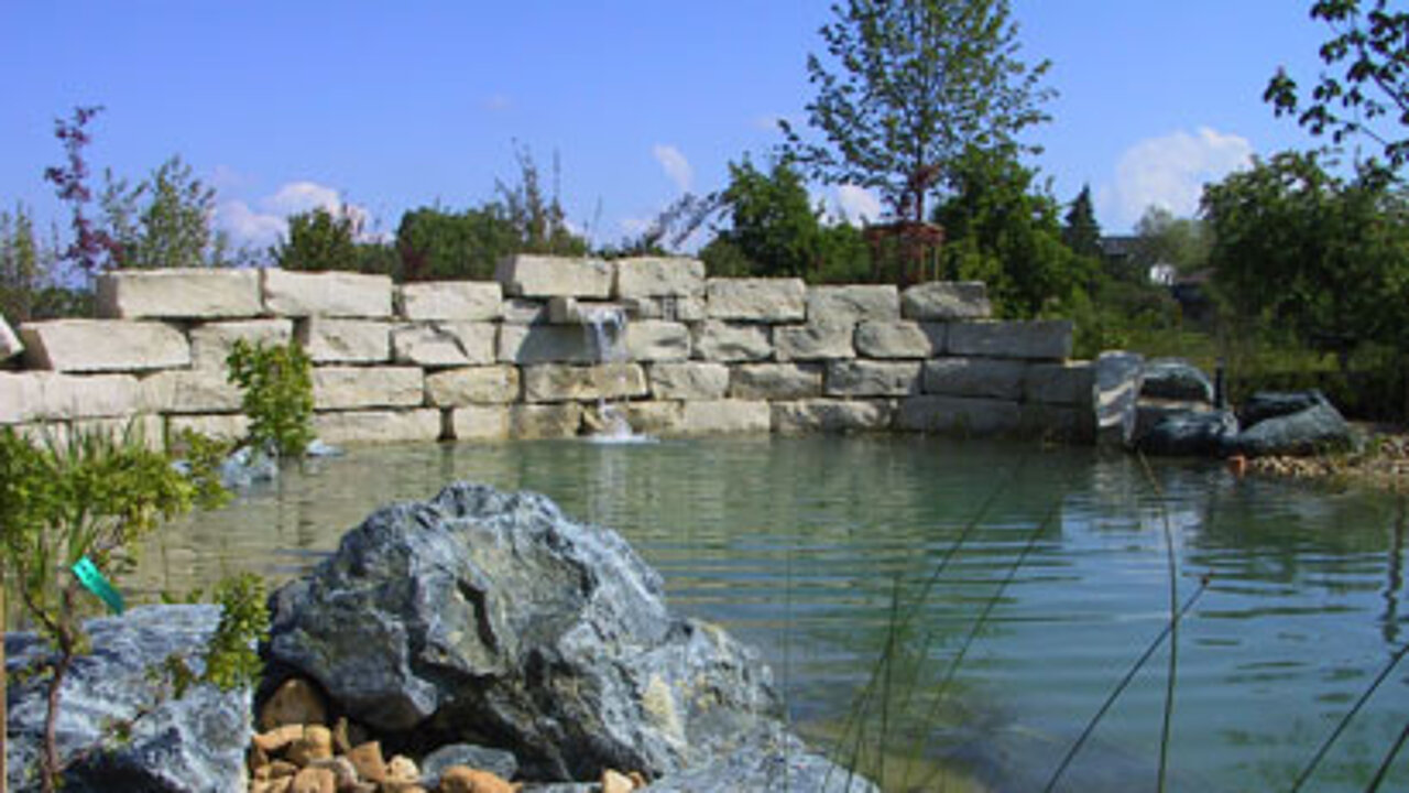 Schwimmteich