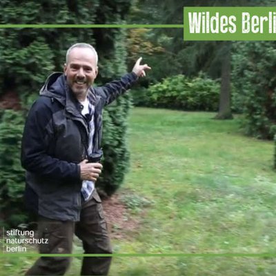 Wildes Berlin