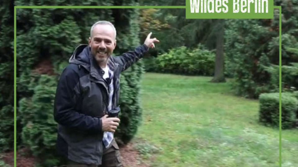 Wildes Berlin