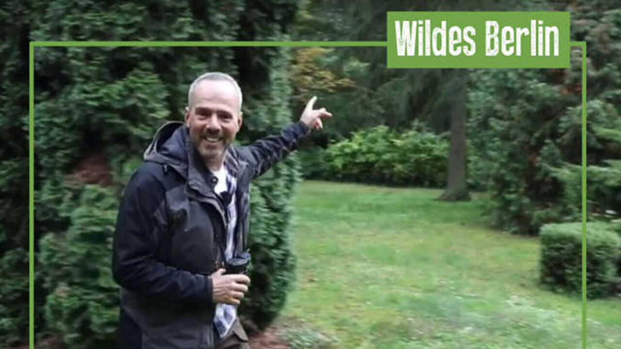 Wildes Berlin