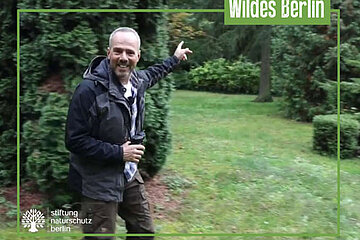 Wildes Berlin