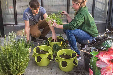 Techniker für Gartenbau