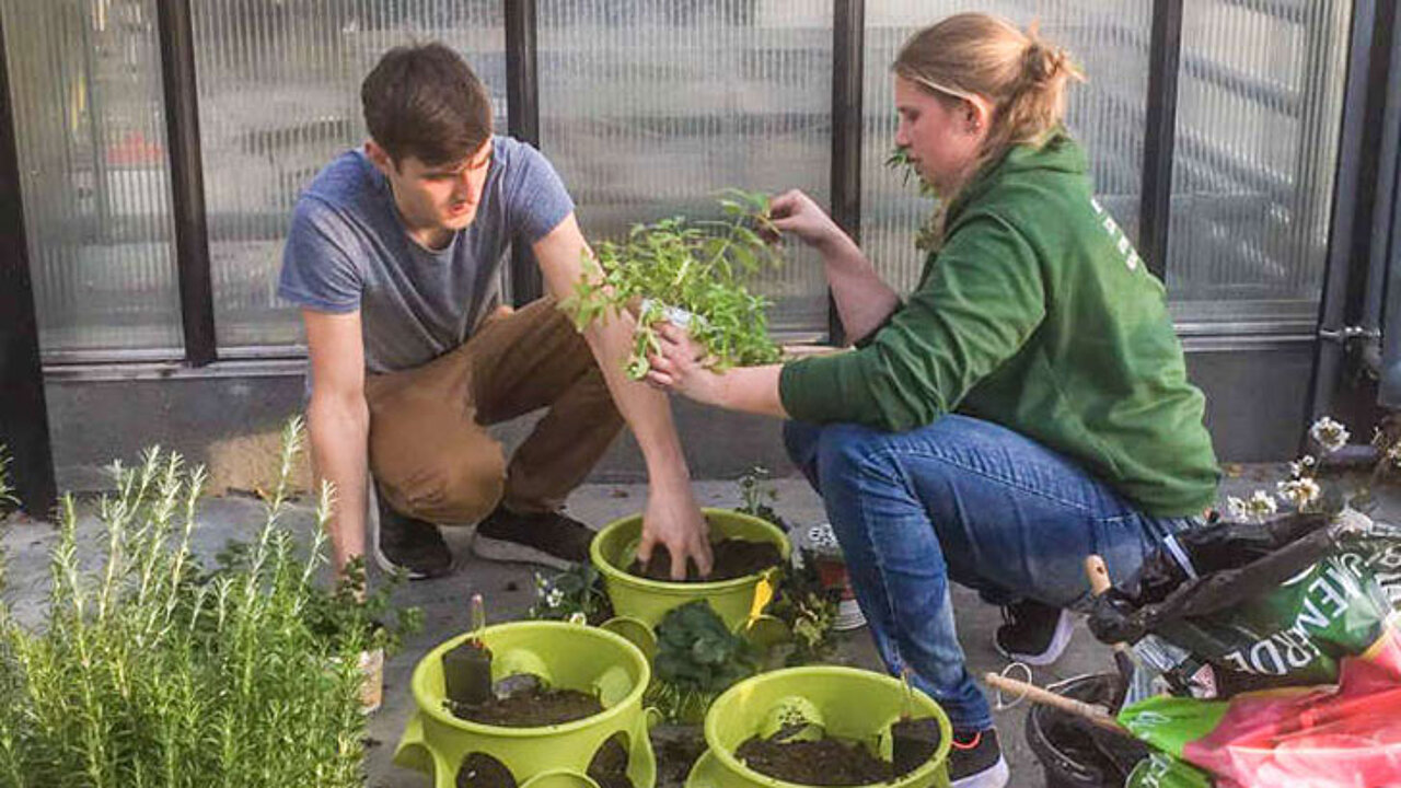 Techniker für Gartenbau