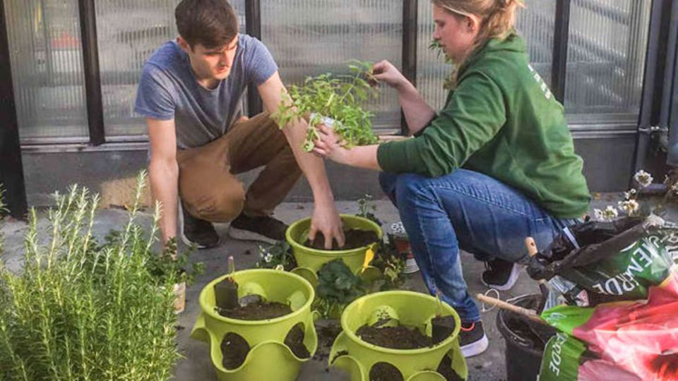 Techniker für Gartenbau