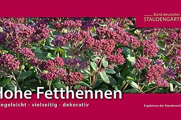 Stauden