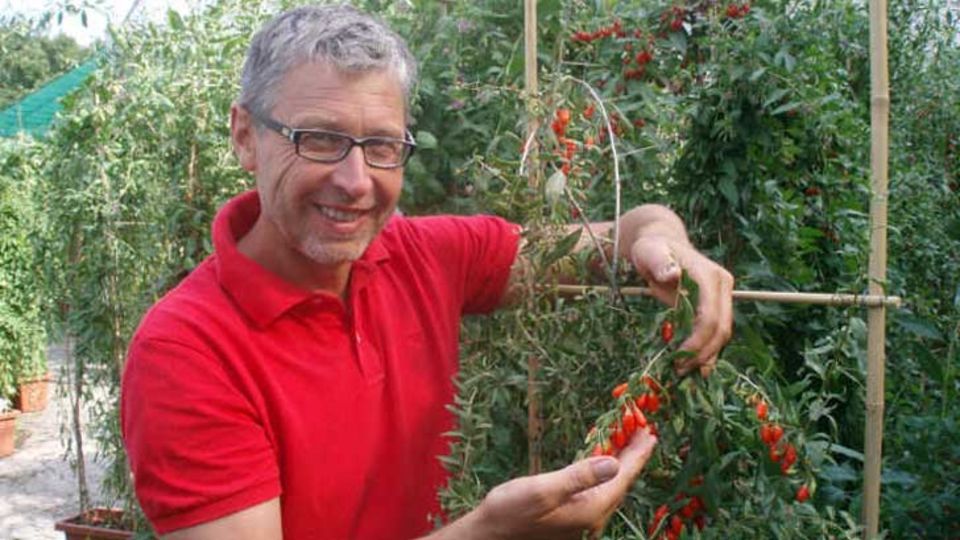Klaus Umbach
