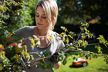 STIHL Garten-Barometer