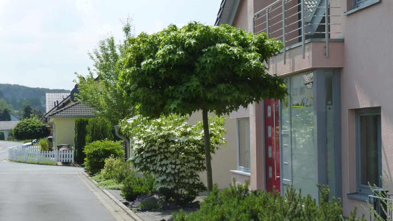 image-14274