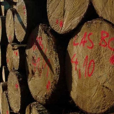 Holz