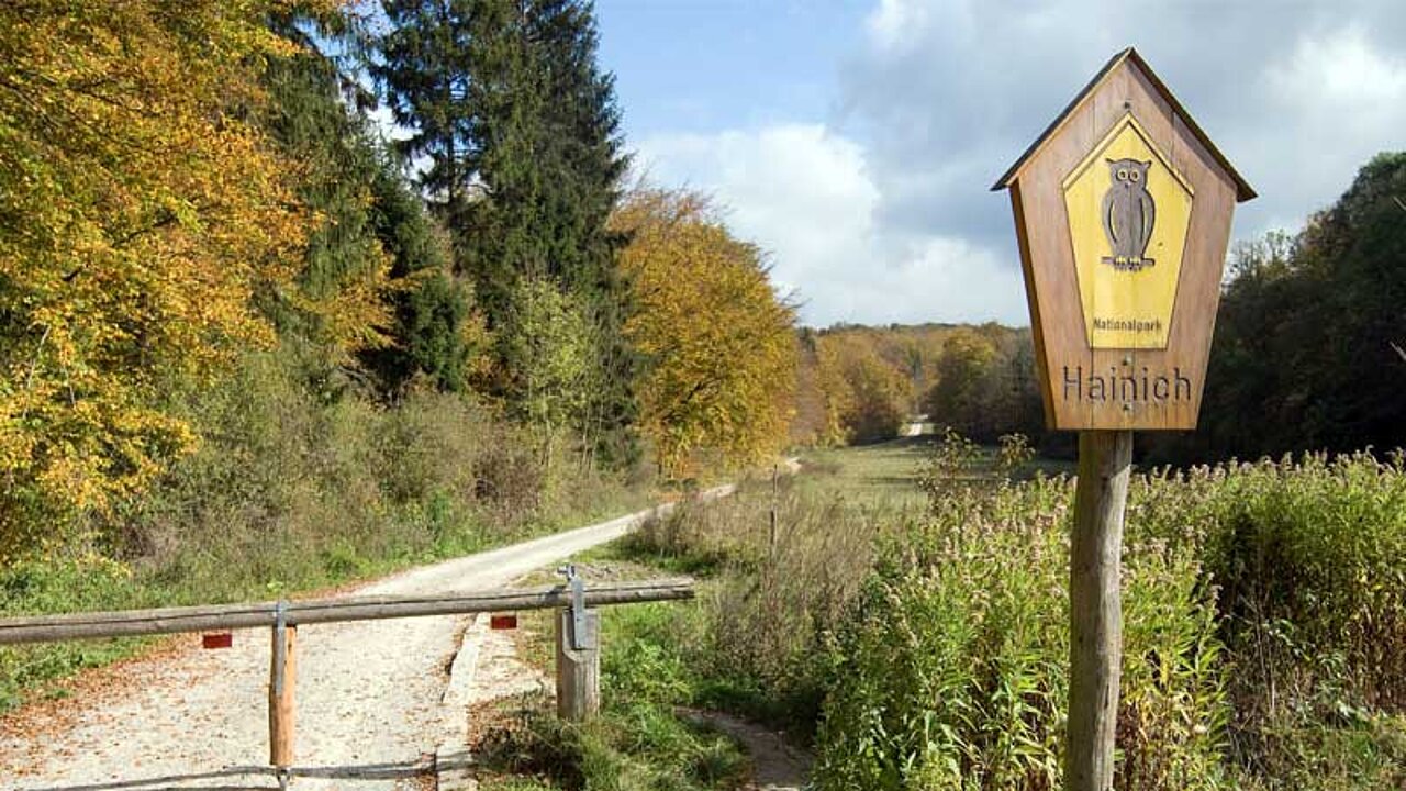 Nationalpark Hainich
