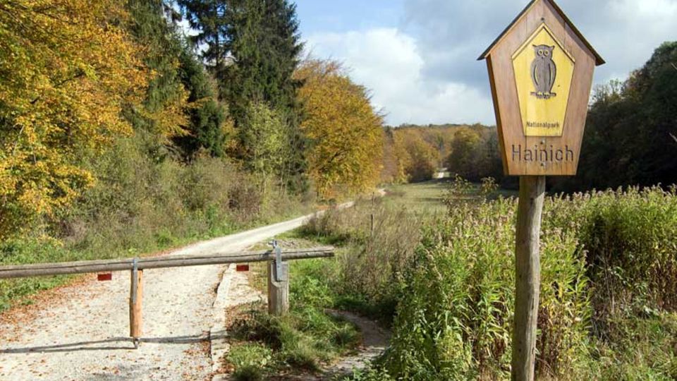 Nationalpark Hainich