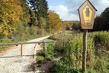 Nationalpark Hainich