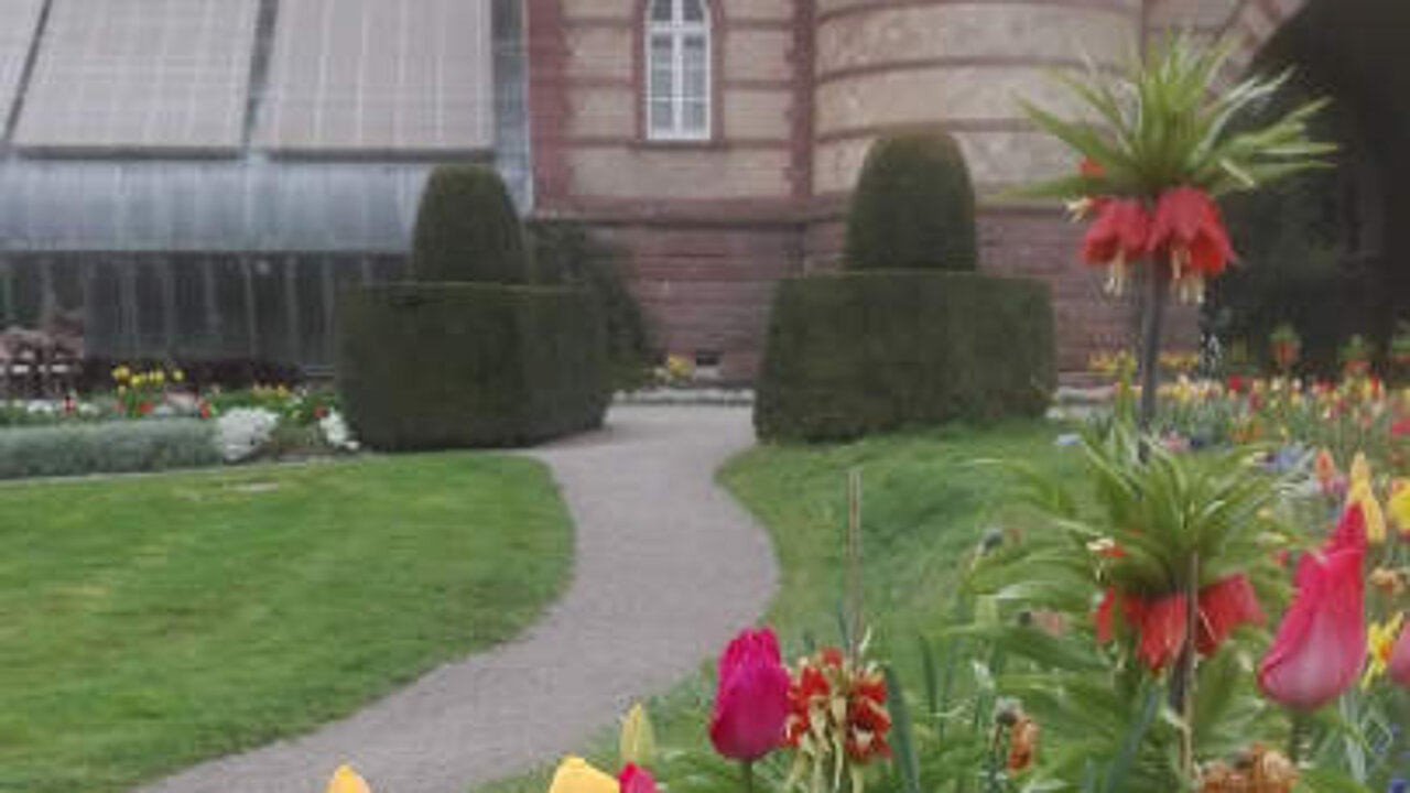 Botanischer Garten