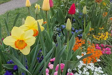 Botanischer Garten