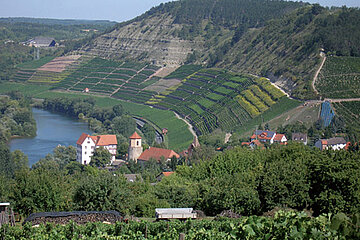 Image-2739