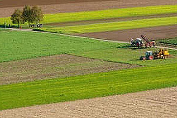 Landwirtschaft
