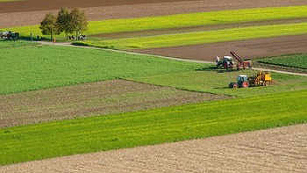 Landwirtschaft