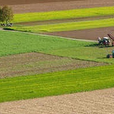 Landwirtschaft