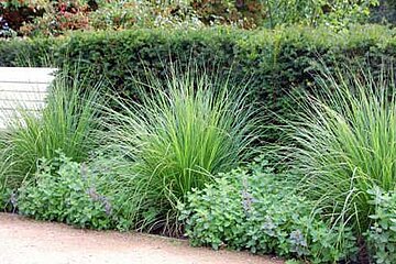 Stulpen für die Hecke