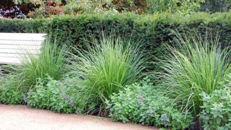 Stulpen für die Hecke
