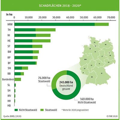 Schadflächen