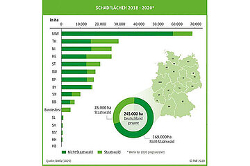 Schadflächen