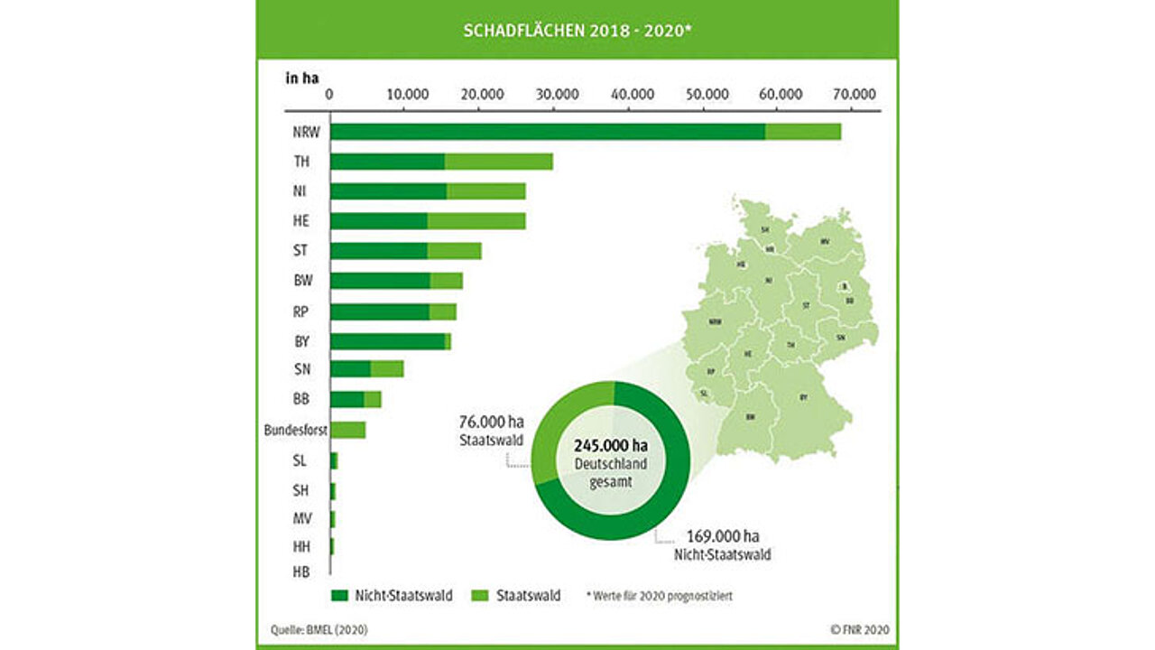 Schadflächen