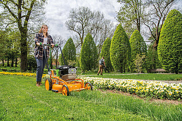 Image-13076