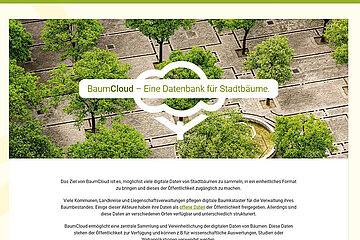 Online-Tool BaumCloud