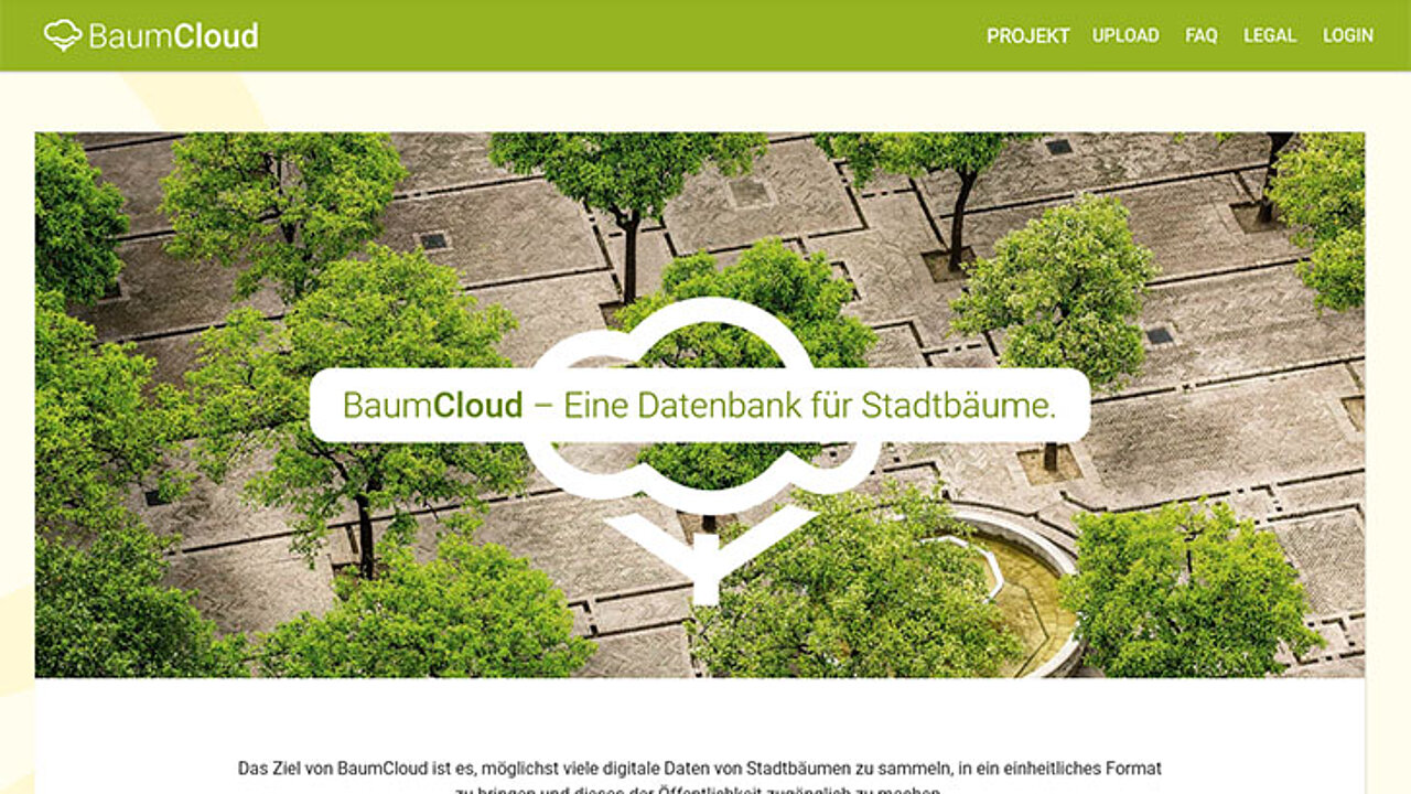 Online-Tool BaumCloud