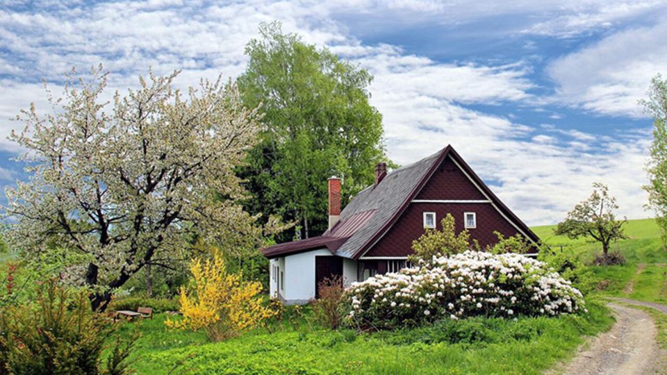 Gartenpflege