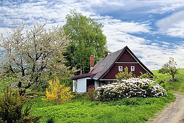 Gartenpflege