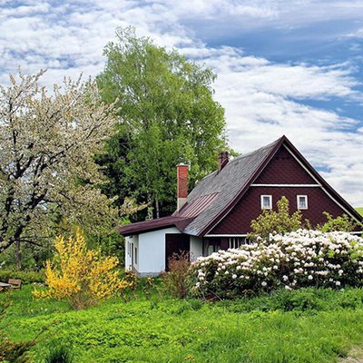 Gartenpflege