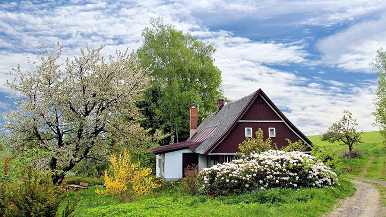 Gartenpflege