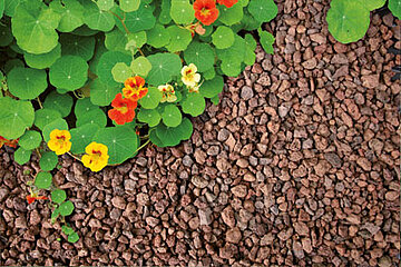 GardenProtect von KANN