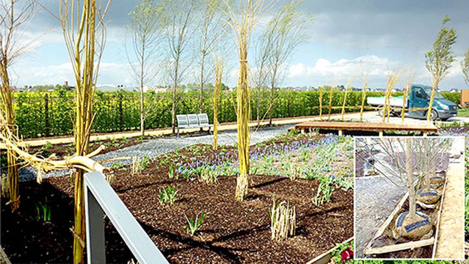 Landesgartenschau Zülpich