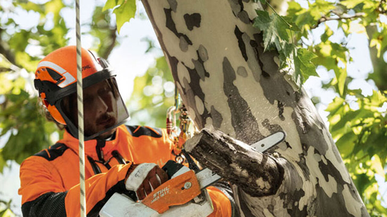 STIHL ADVANCE X-Climb