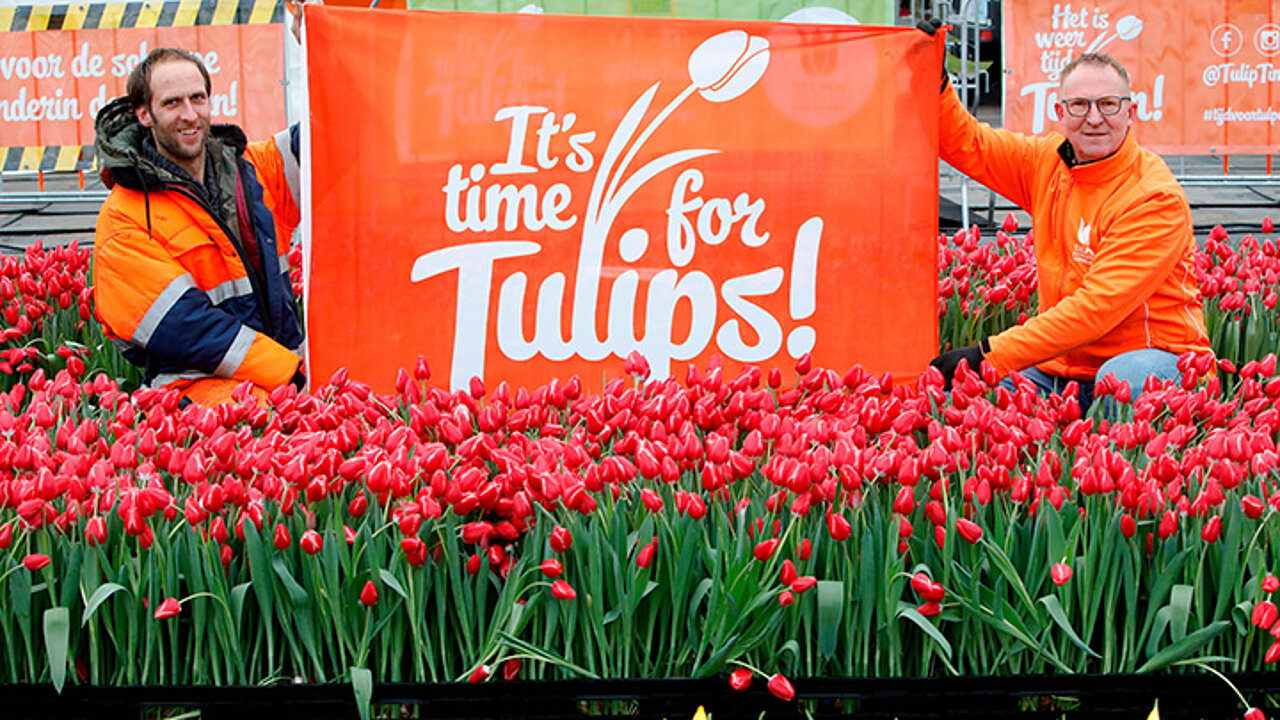 Tulpenfest