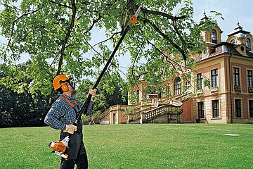 Stihl-Hochentaster