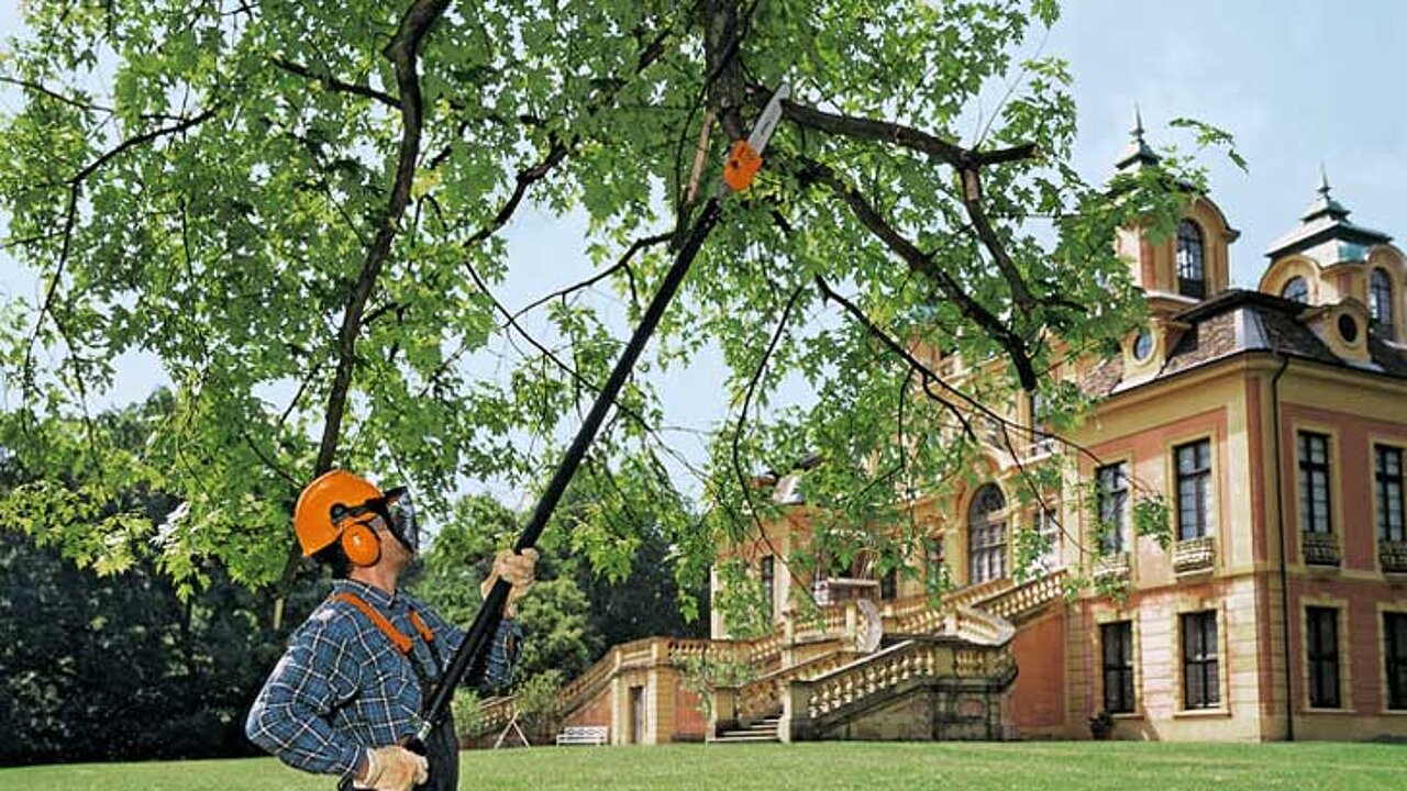 Stihl-Hochentaster