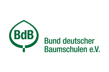 BdB Logo