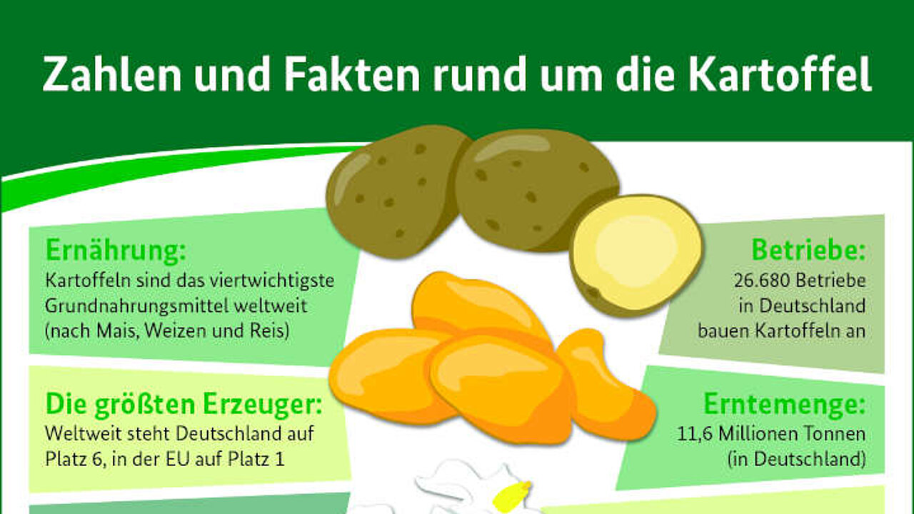Grafik