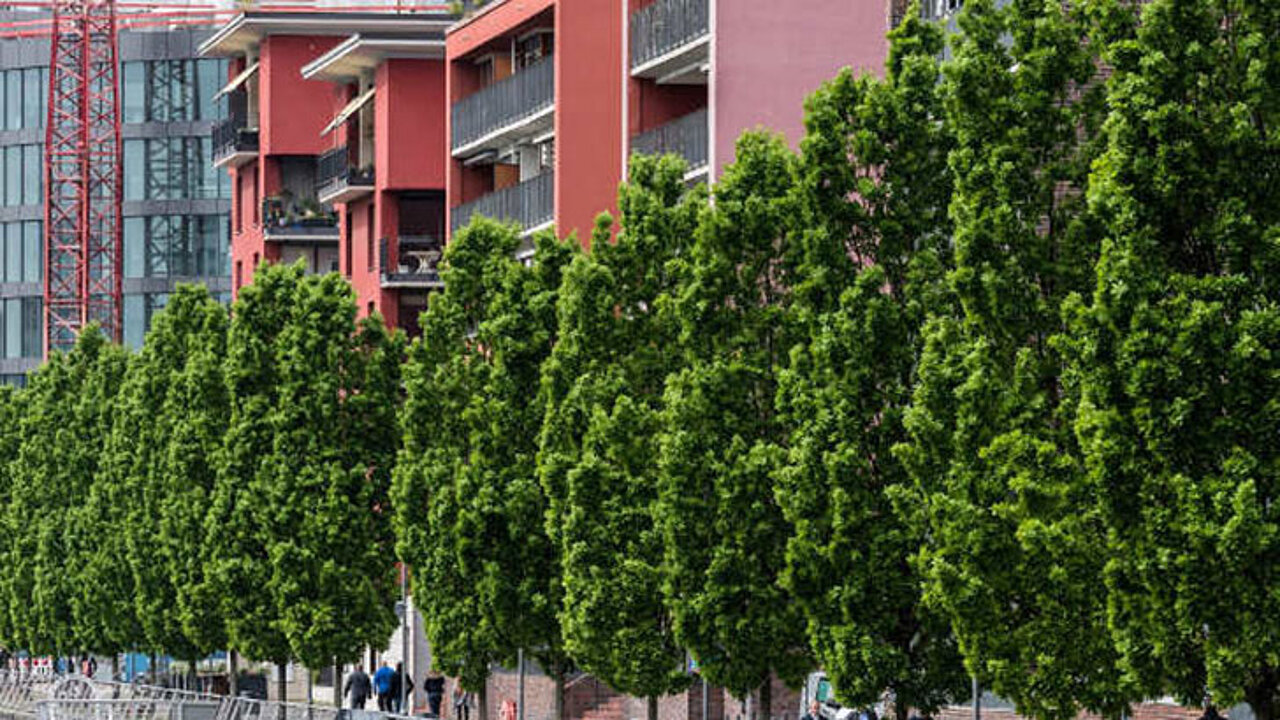 Stadtgrün