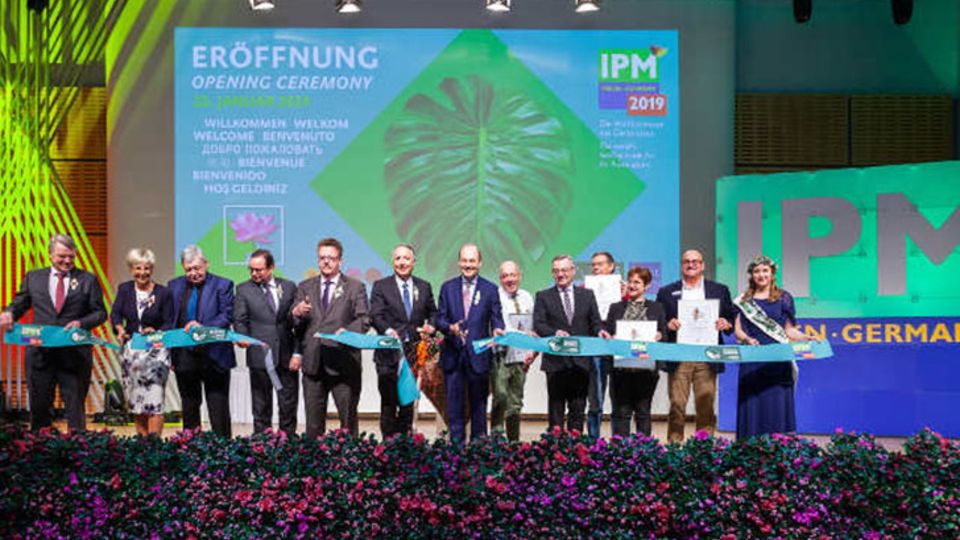 Eröffnung